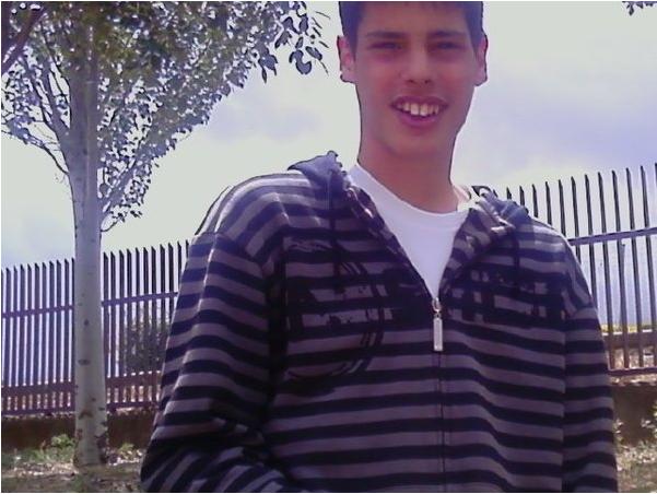 Descripcion Gil-leriana